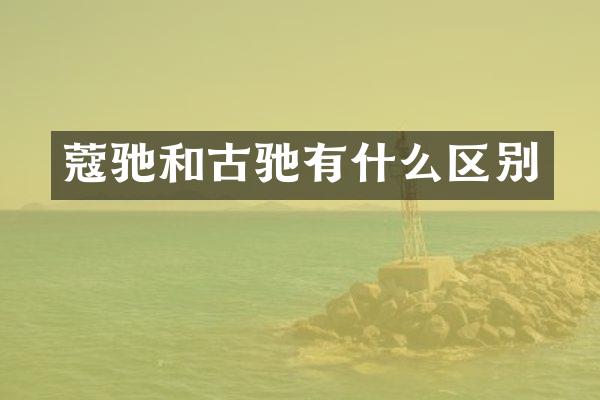 蔻驰和古驰有什么区别