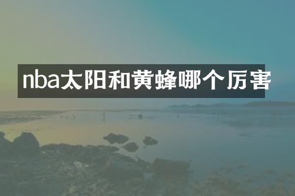 nba太阳和黄蜂哪个厉害