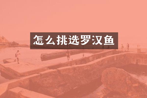 怎么挑选罗汉鱼