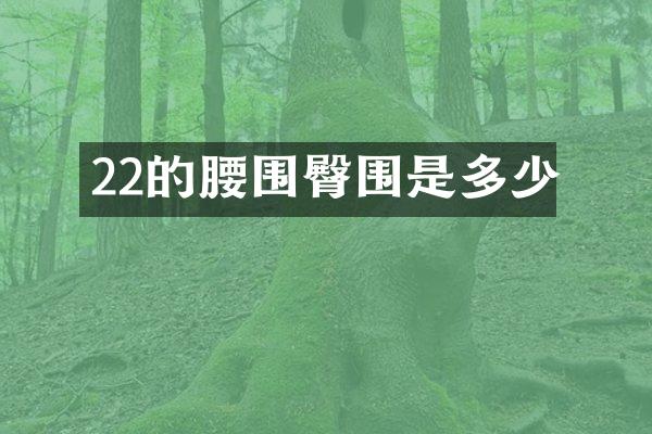 22的腰围臀围是多少