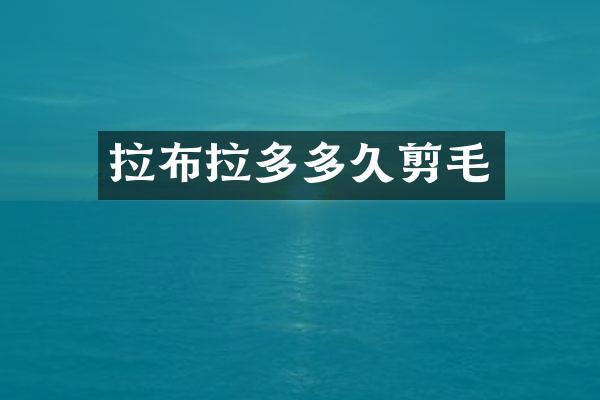 拉布拉多多久剪毛