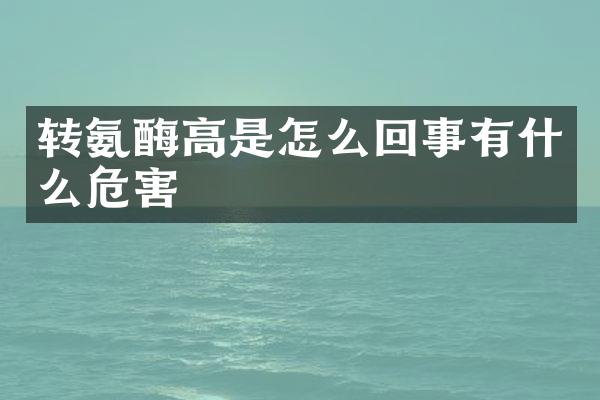 转氨酶高是怎么回事有什么危害