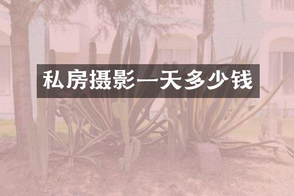 私房摄影一天多少钱