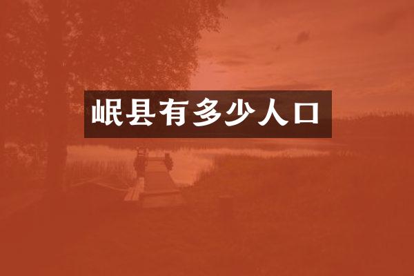岷县有多少人口