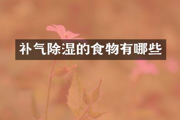 补气除湿的食物有哪些