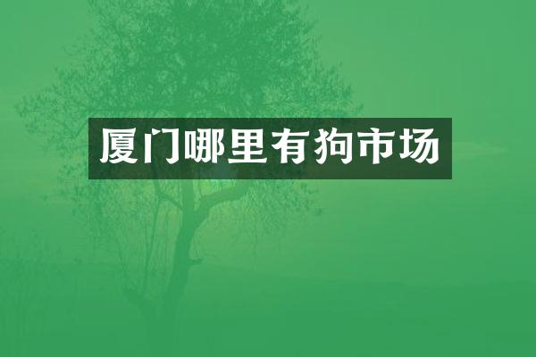 厦门哪里有狗市场