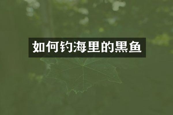 如何钓海里的黑鱼