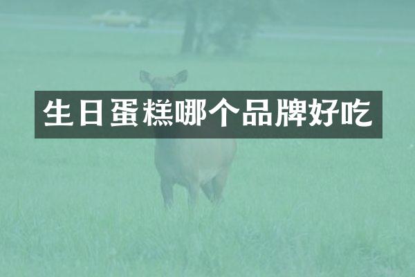 生日蛋糕哪个品牌好吃