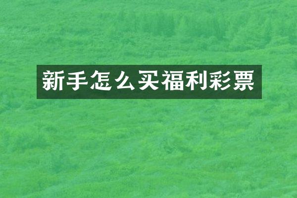 新手怎么买福利彩票