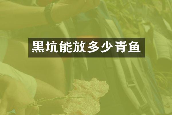 黑坑能放多少青鱼