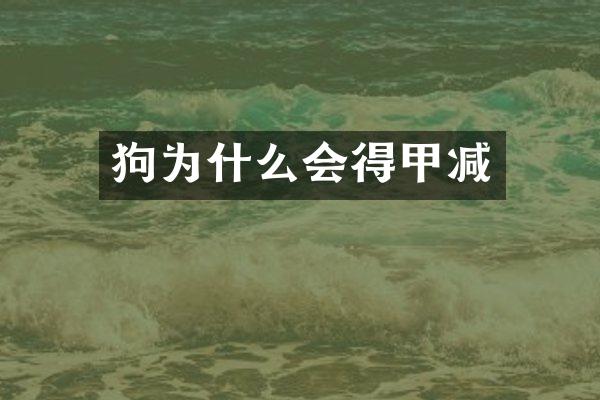 狗为什么会得甲减