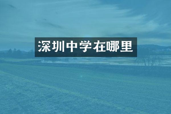 深圳中学在哪里