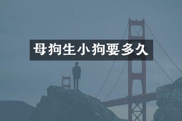 母狗生小狗要多久