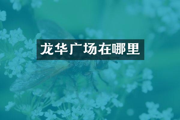龙华广场在哪里