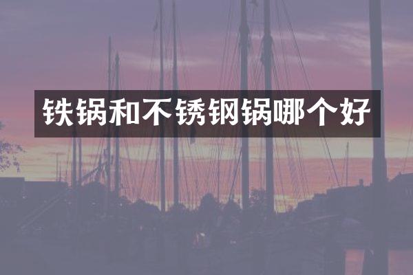 铁锅和不锈钢锅哪个好