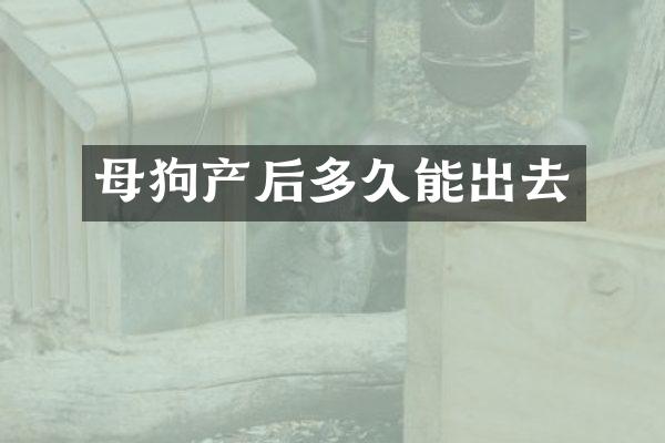 母狗产后多久能出去