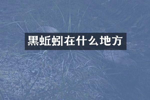 黑蚯蚓在什么地方