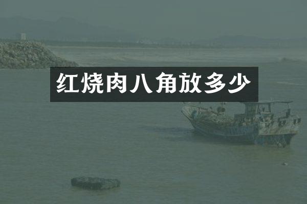 红烧肉八角放多少