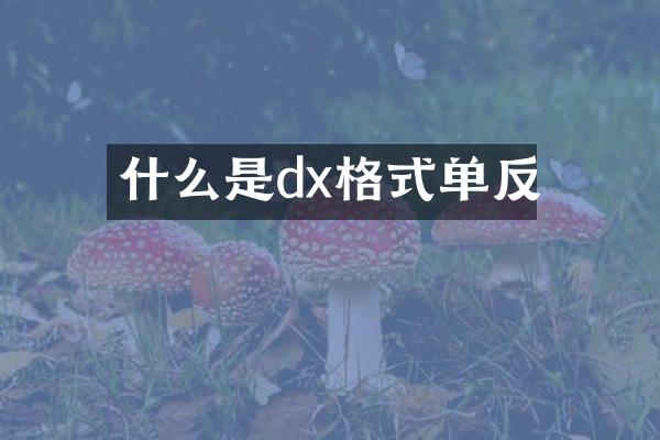什么是dx格式单反