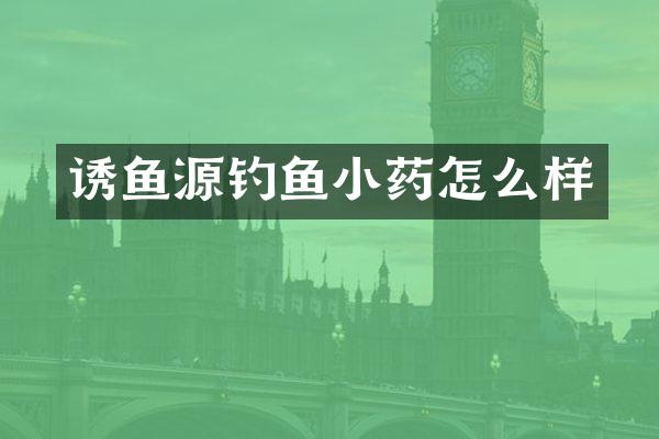 诱鱼源钓鱼小药怎么样