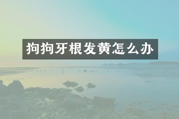 狗狗牙根发黄怎么办