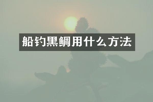 船钓黑鲷用什么方法