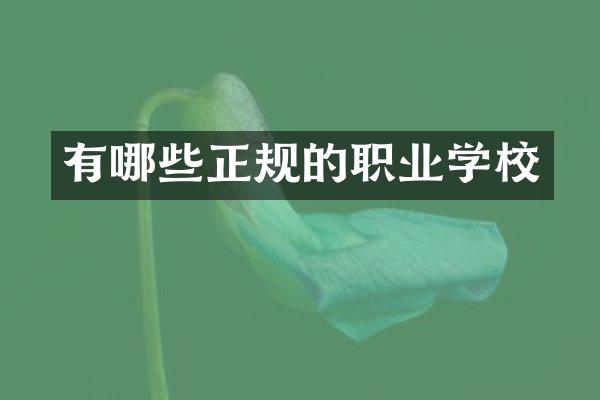有哪些正规的职业学校