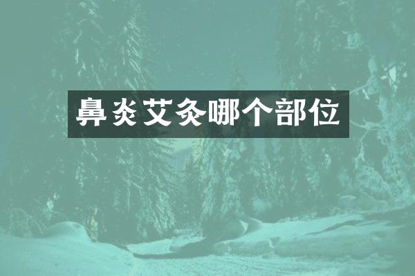 鼻炎艾灸哪个部位