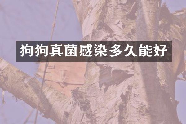 狗狗真菌感染多久能好