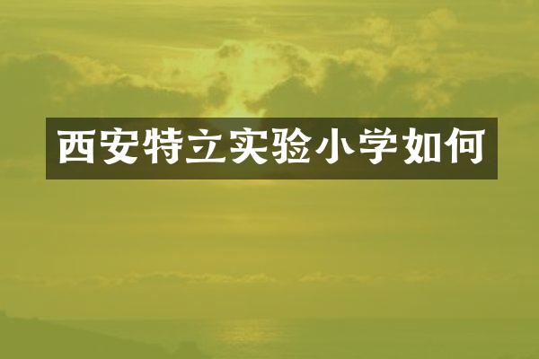 西安特立实验小学如何