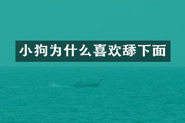小狗为什么喜欢舔下面