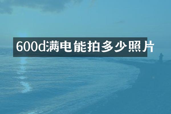 600d满电能拍多少照片