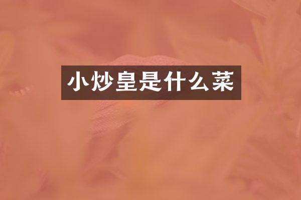 小炒皇是什么菜