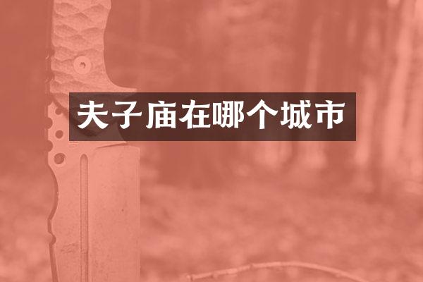 夫子庙在哪个城市