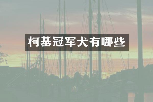 柯基冠军犬有哪些