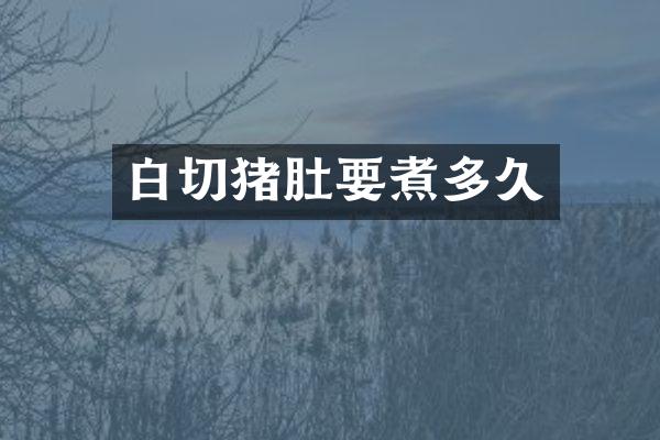 白切猪肚要煮多久