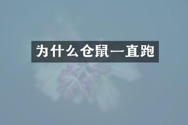 为什么仓鼠一直跑