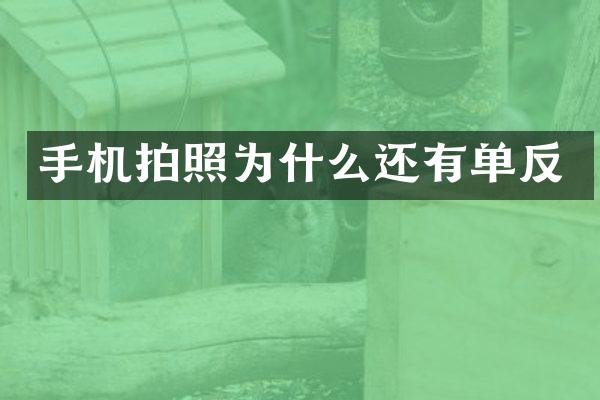 手机拍照为什么还有单反