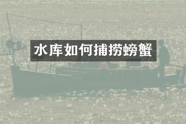 水库如何捕捞螃蟹