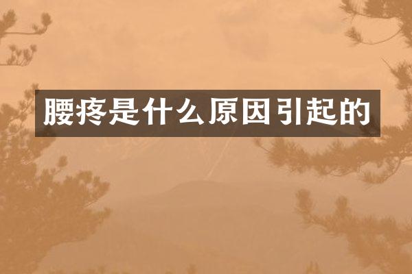腰疼是什么原因引起的