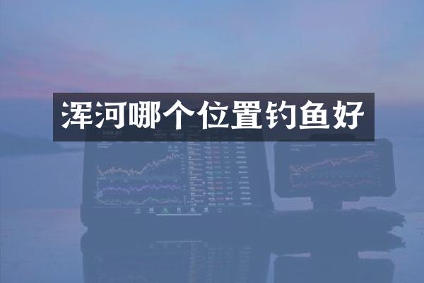 浑河哪个位置钓鱼好