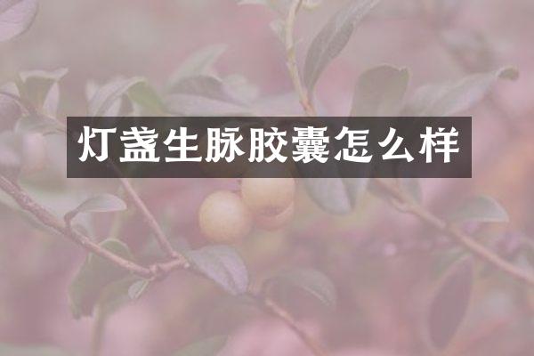 灯盏生脉胶囊怎么样