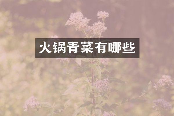 火锅青菜有哪些