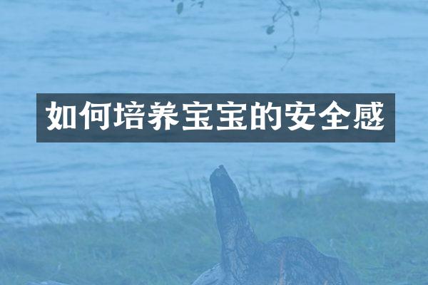 如何培养宝宝的安全感