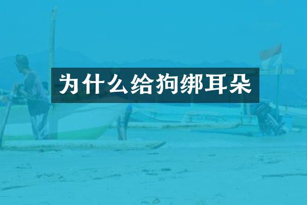 为什么给狗绑耳朵