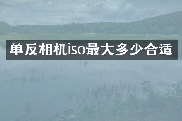 单反相机iso最大多少合适