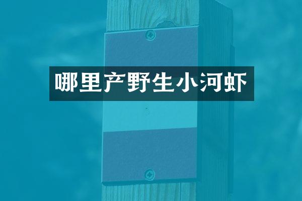 哪里产野生小河虾