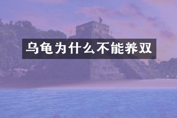 乌龟为什么不能养双