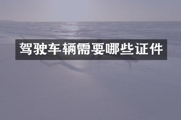 驾驶车辆需要哪些证件