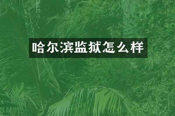 哈尔滨监狱怎么样